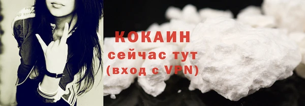 винт Каменка