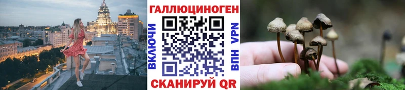 Купить где  Ува  Псилоцибиновые грибы прущие грибы 